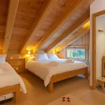 Spring Skiing Mont-blanc View Cozy Chalet