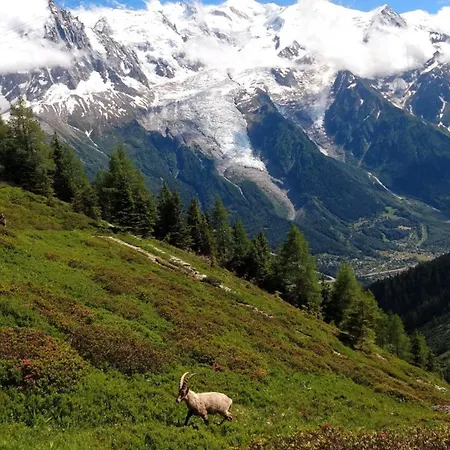 Cosy With Views Of Mont Blanc